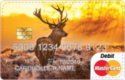 Deer debit card image